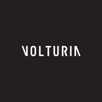 VOLTURIA logo - Similar company to Rapp Consulting
