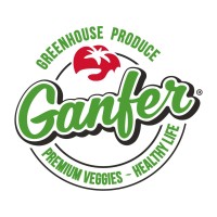 Ganfer