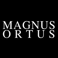 Magnus Ortus logo - Similar company to Email For Brands