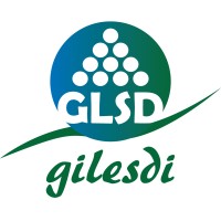 GLSD Consulting logo - Similar company to Pyramide Conseils Sarl