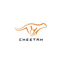 Cheetah Capital Management logo - Similar company to Nice Capital