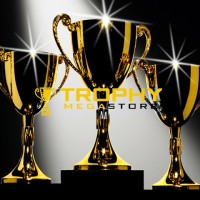 Trophy Megastore logo - Similar company to Medal & Trophy Industries