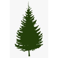 Lone Pine Consulting LLC logo - Similar company to 4 Ideal Design (4Id)