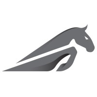 Stable Nova Oy logo - Similar company to Pinecone