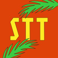 Straight To Tell logo - Similar company to Creative Overdose Studios