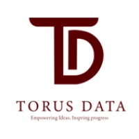 Torus Data Co., Ltd logo - Similar company to Thuan Thanh Tech Co .Ltd
