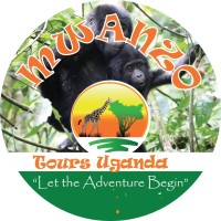 Mwanzo Tours logo - Similar company to Flashbook