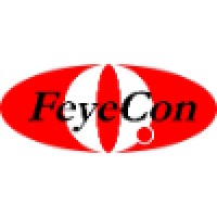 FeyeCon logo - Similar company to Tersus Solutions