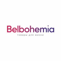 Belbohemia logo - Similar company to Vaevi Technologies