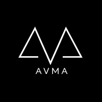 American Ventures Mergers and Acquisitions  (AVMA) logo - Similar company to True Equity Group