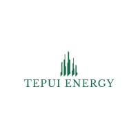 Tepui Energy logo - Similar company to Hanze University Foundation