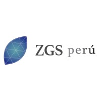 ZGS perú logo - Similar company to G&S Electrical Solution