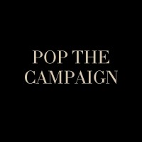 Pop The Campaign logo - Similar company to The Guiding Light Education Company | Mindspark Kids Inc.