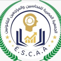 The Egyptian Society of Chartered Accountants and Auditor.ESCAA logo - Similar company to Egyptian Society Of Accountants & Auditors