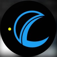 Engineers Online Academy logo - Similar company to Tutorpa™
