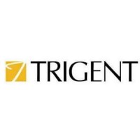 TRIGENT SOFTWARE SOLUTIONS LTD logo - Similar company to Trigent Software Inc