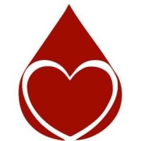 Mi Sangre es Tu Vida logo - Similar company to Mi Vida Afro