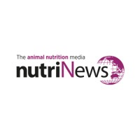 NutriNews International logo - Similar company to Progiene (Division Of Rumenco)