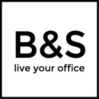 B&S Consulting SRL logo - Similar company to Dvmep