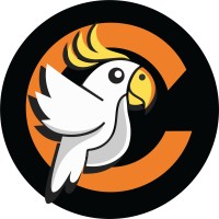 C4creativity logo - Similar company to Bn Healthy
