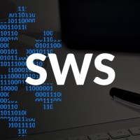 SWS software development logo - Similar company to Easy Tech Solutions