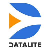 Datalite logo - Similar company to Nautilo S.R.L. (Arsnetwork Group)