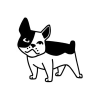 ScreenDog Productions logo - Similar company to Coolbox Films
