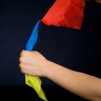 NA logo - Similar company to Mega Cat Game