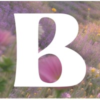 Brainland.Ai logo - Similar company to Hive Growth