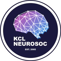 KCL Neuroscience Society logo - Similar company to Atmosphaeres - 360° Stock Videos & Vr Experiences