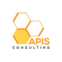 APIS Consulting logo - Similar company to Apis, Part Of Accenture