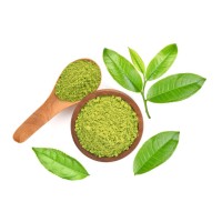 Taste of  Sylheti Tea logo - Similar company to Mahmud Tea