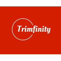 Trimfinity Consulting Private Limited logo - Similar company to Wappblaster