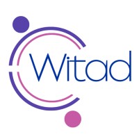 WITAD MX logo - Similar company to Lcg It Service
