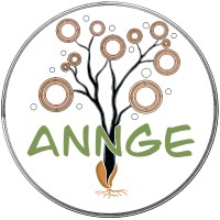 Annge Consulting logo - Similar company to Warle Construction