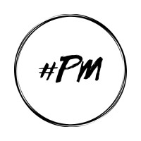 Paladino Marketing logo - Similar company to Lakeside Capital