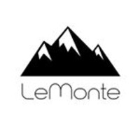 Lemonte logo - Similar company to Iberica Infocomputer  Sl