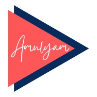 Amulyam Digital Media PVT. LTD. logo - Similar company to The Braind.Com