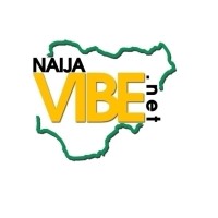 NaijaVibe logo - Similar company to The Network Systems