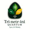 Trinetrini Quantum logo - Similar company to Rkdemy