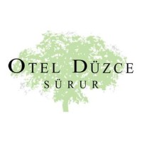 Otel Düzce Sürur & SPA logo - Similar company to Otel Mavi Beyaz