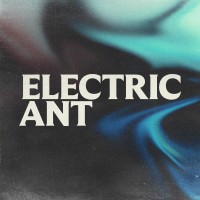 Electric Ant logo - Similar company to Workpop, Inc.