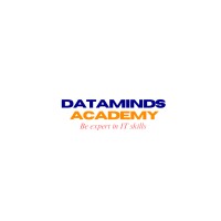 Dataminds Academy logo - Similar company to Datavion Academy