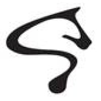 MUSTANG CAPITAL logo - Similar company to Sb Partners Ltd