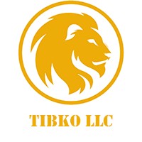 TIBKO LLC logo - Similar company to Kbit