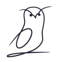 Brave Owl logo - Similar company to Extra Mile Hr