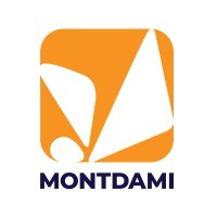 Montdami logo - Similar company to Hexa Group