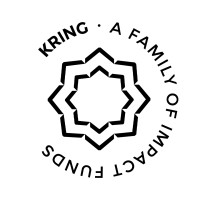 KRING logo - Similar company to Mesh Firm