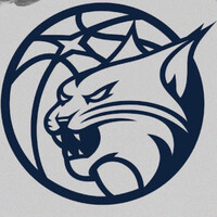 Minnesota Lynx logo - Similar company to A-Rod Corp