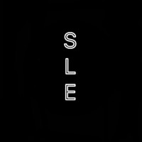 ShutterSTOCK Liner Entertainment logo - Similar company to Bayview Entertainment